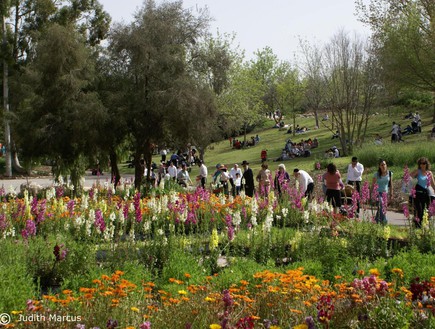 הגן הבוטני, צילמה ג׳ודית מרקוס (צילום: ג׳ודית מרקוס)