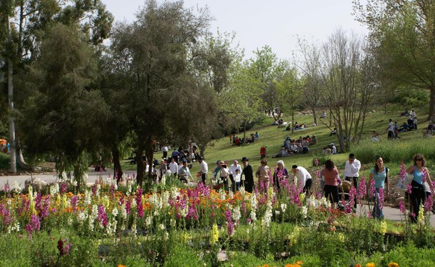 הגן הבוטני, צילמה ג׳ודית מרקוס (צילום: ג׳ודית מרקוס)