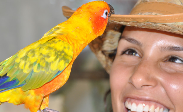 בית האיכר בית האיכר