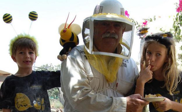 דבורת התבור דבורת התבור