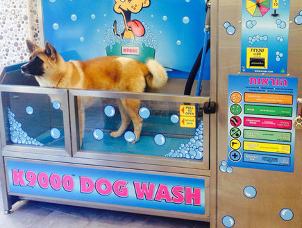 DOG WASH רחיצת כלבים