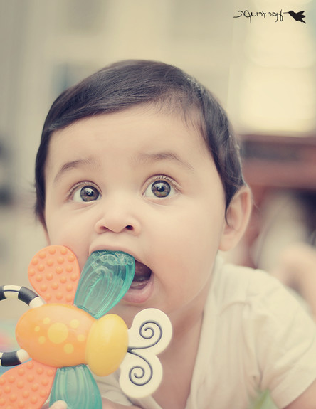 ענבר גרושקה - איך לצלם תינוקות (צילום: ענבר גרושקה)