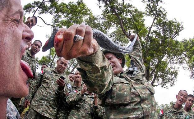 המארינס שותים דם של נחשים (צילום: כריסטופר ק. סטון, חיל הנחתים האמריקאי)