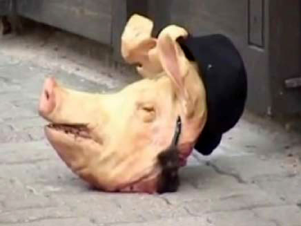 ראשי חזירים נשלחו למוסדות יהודיים (צילום: חדשות 2)