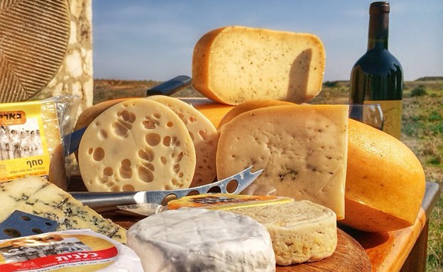 מחלבת בארי מחלבת בארי