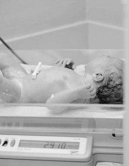 הלידה של דנה אופיר (צילום: ענבר גרושקה)