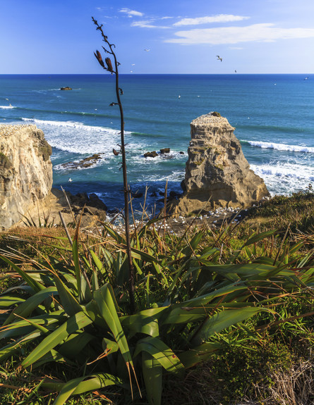 ניו זילנד, חופים לברוח אליהם (צילום: אימג'בנק / Thinkstock)