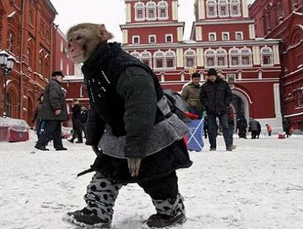הזויים ברוסיה (צילום: media.likes.com)