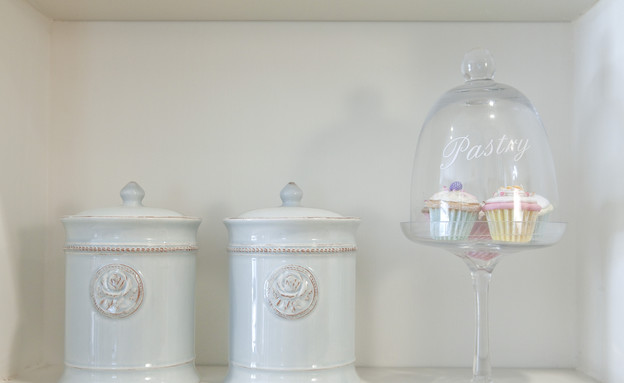 דלית וינשטוק דלית וינשטוק