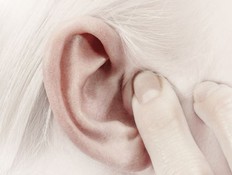 שעווה באוזניים (צילום: Daniel Grizelj, GettyImages IL)