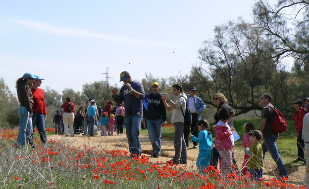 צעדת הכלניות (צילום: לבנת גנזבורג)