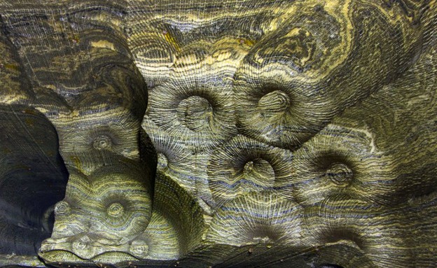 מערת המלח ברוסיה, קרדיט