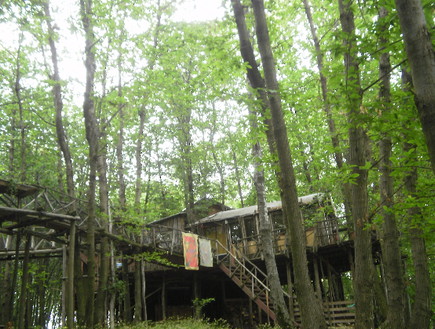 בית עצים (צילום: קהילת דמנהור)