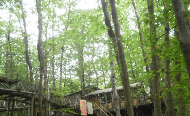 בית עצים (צילום: קהילת דמנהור)