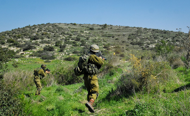 הנחל האימון סבך (צילום: דובר צה"ל)