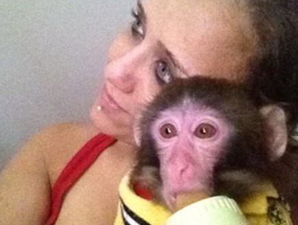 דרווין הקוף (צילום: Darling Darwing Monkey)