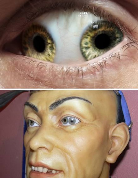 עיניים מוזרות (צילום: news.softpedia.com)