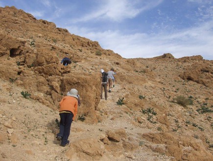 נחל צאלים בדרך לברכת צפירה