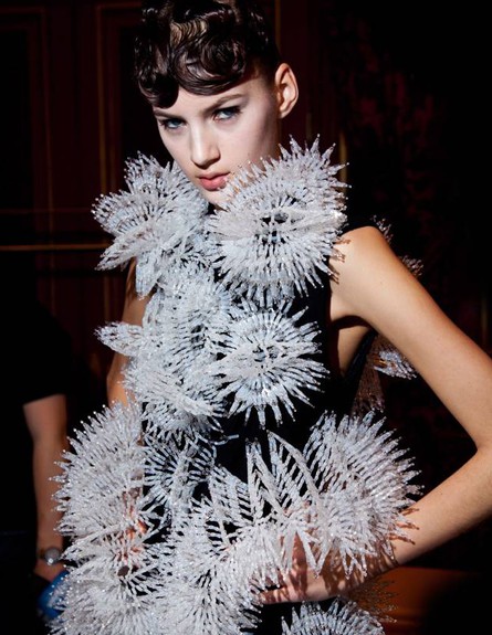 irisvanherpen.comמדפסות תלת מימד, שמלה גובה (צילום: irisvanherpen.com)