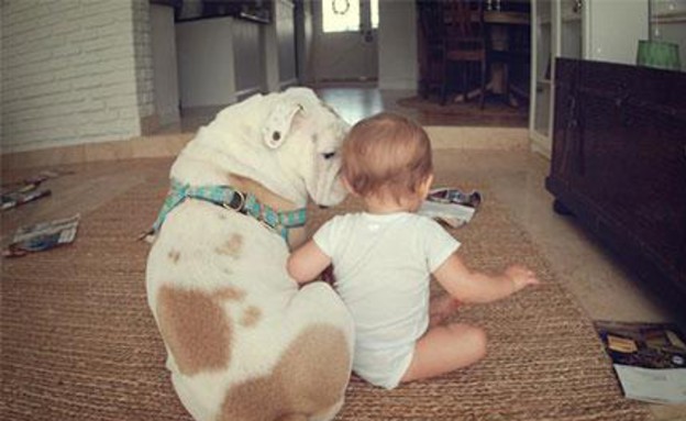 ידידות בין ילדה וכלב (צילום: Rebecca Leimbach)