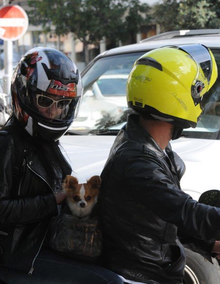 מיכל אמדורסקי וג'פרי עם הכלב (צילום: ברק פכטר)