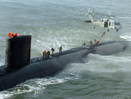 פאסט רופ של אריות הים (צילום: הצי האמריקאי)
