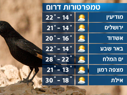 הטמפרטורות בדרום