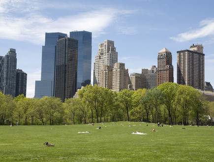סנטרל פארק, פסח בניו יורק (צילום: אימג'בנק / Thinkstock)