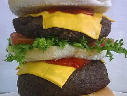 המבורגר 10000 קלוריות גובה (צילום: Cavendish, dailymail.co.uk)