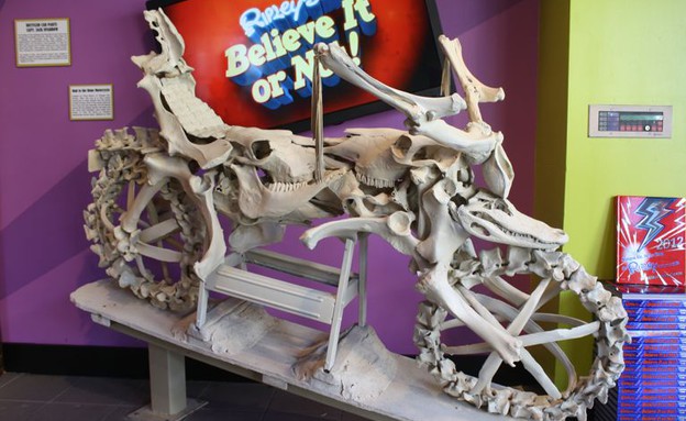 אופנוע מעצמות