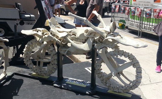 אופנוע מעצמות