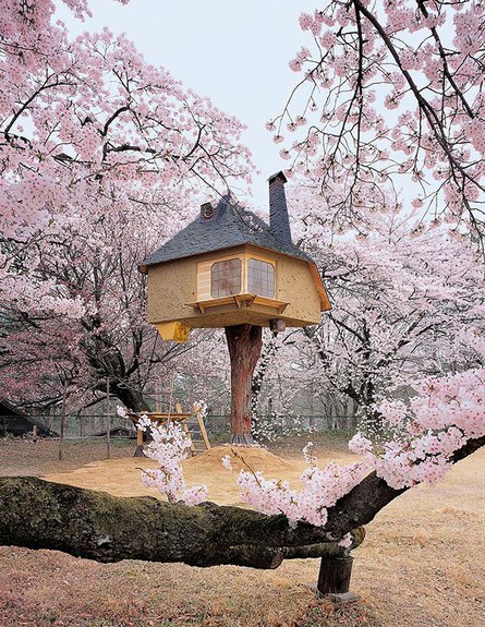 בתים מהאגדות, יפן על עץ, צילום Terunobu Fujimori (צילום: Terunobu Fujimori)