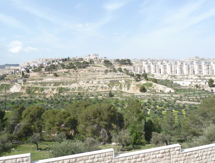 נוף ירושלים מכיוון בית לחם (צילום:  שמעון איפרגן)