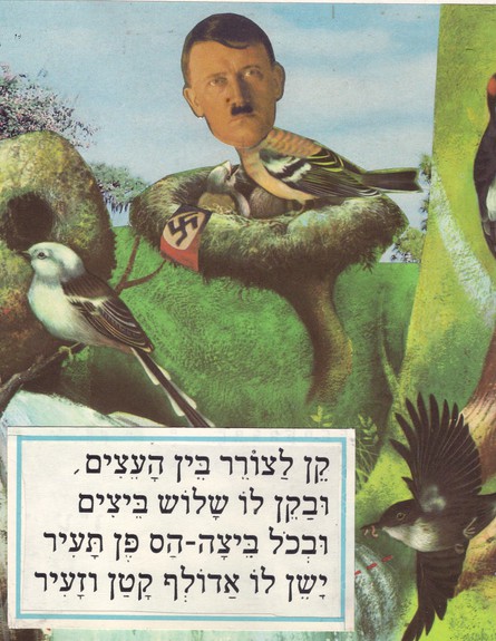 "קן לצורר" של זאב אנגלמאייר  (צילום: זאב אנגלמאיר)