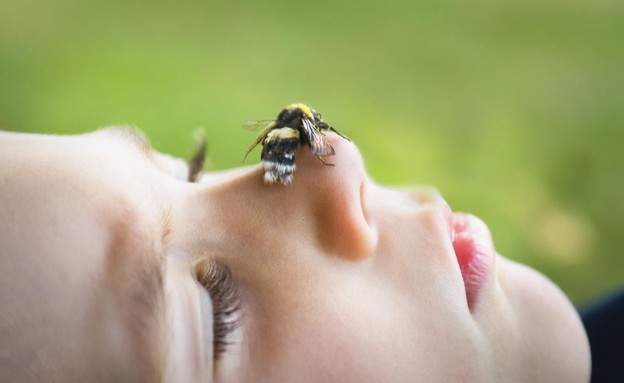 להיעקץ על ידי דבורים (צילום: Mieke Dalle, GettyImages IL)