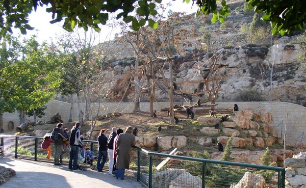 גן החיות הכי טוב - גן החיות התנכי (צילום: איל שפירא)
