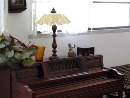 קופצות בית ביפו, סלון פסנתר עציץ (צילום: שי בן אפרים ודני אבשלום)