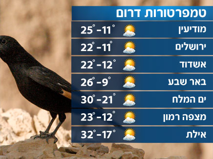 הטמפרטורות בדרום