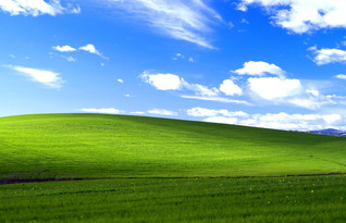ווינדוס XP (צילום: Microsoft)