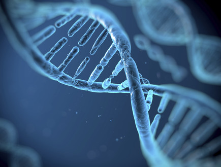 DNA (צילום: אימג'בנק / Thinkstock)