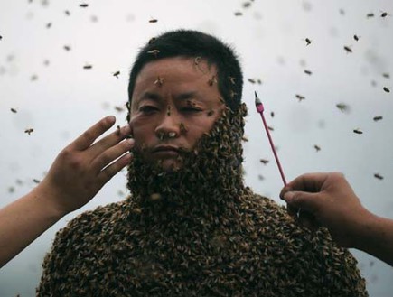 מכוסה דבורים (צילום: acidcow.com)