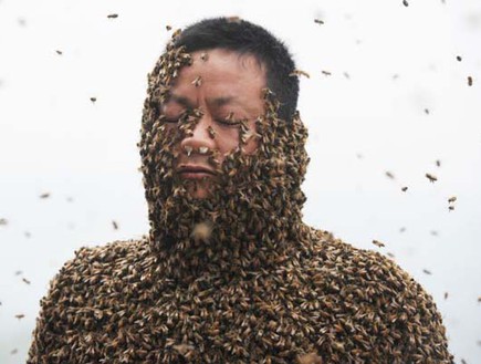 מכוסה דבורים (צילום: acidcow.com)