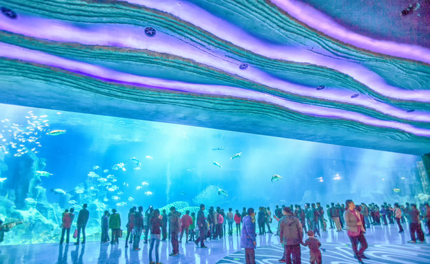 האקווריום הגדול בעולם האקווריום הגדול בעולם