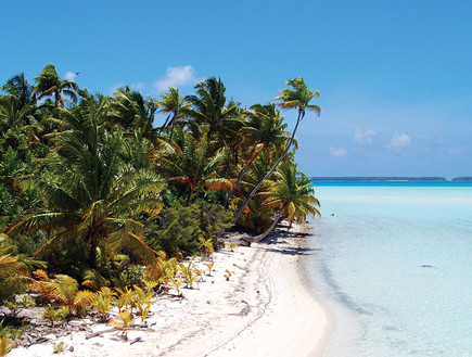 האי של ברנדו, הכי בעולם 10 (צילום: thebrando.com )
