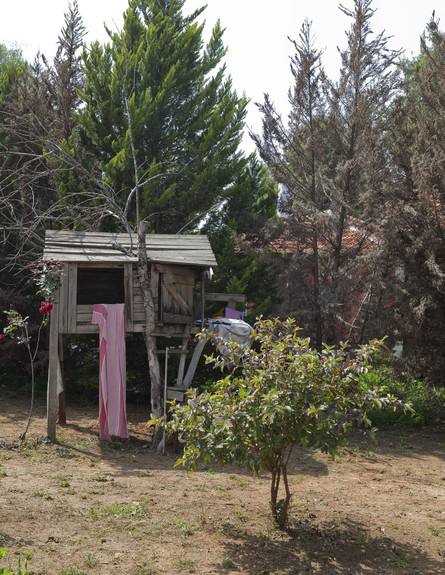 רון, בית עץ (צילום: הגר דופלט)
