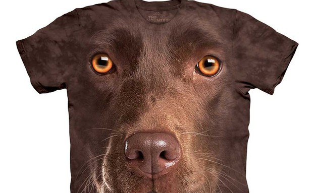 החמישייה 5.5, חולצת כלב חום (צילום: firebox)