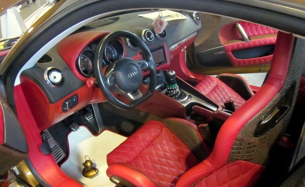 אודי TT לואי ויטון 