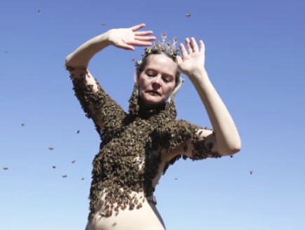 מלכת הדבורים (צילום: יוטיוב)