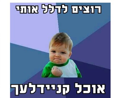 מם חרדים (צילום: פרוייקט דוסים)