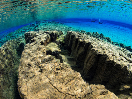 מתחת למים, צלילה בין יבשות (צילום: Alex Mustard)
